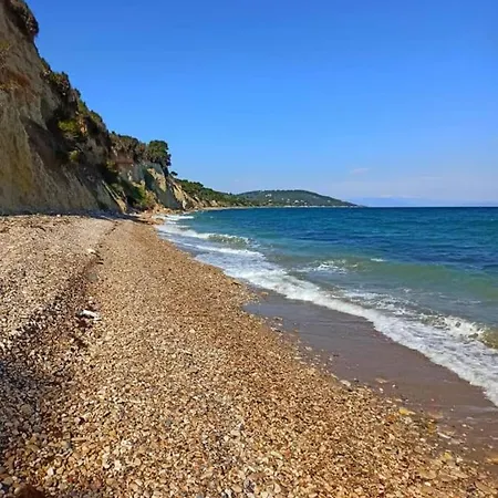 Apartment In Theologos *